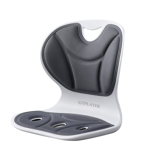 GTPLAYER Ergonomic Back Support for Office Chair