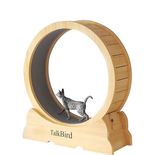 Talkbird Cat Exercise Wheel