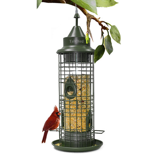 Talkbird Outdoor Bird Feeder
