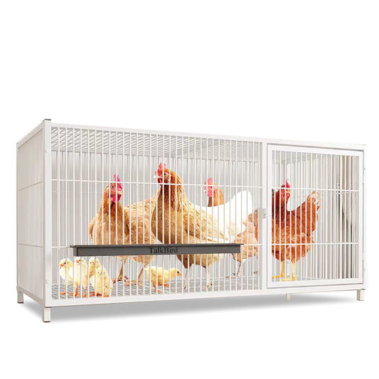 Talkbird Outdoor Chicken Coop